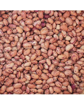 EL BAKAL haricot grine vrac 15kg