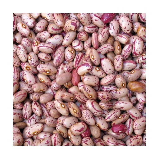 HARICOT ROUGE -Vrac- el diwen