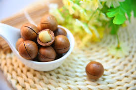 Makadamia noix 500g