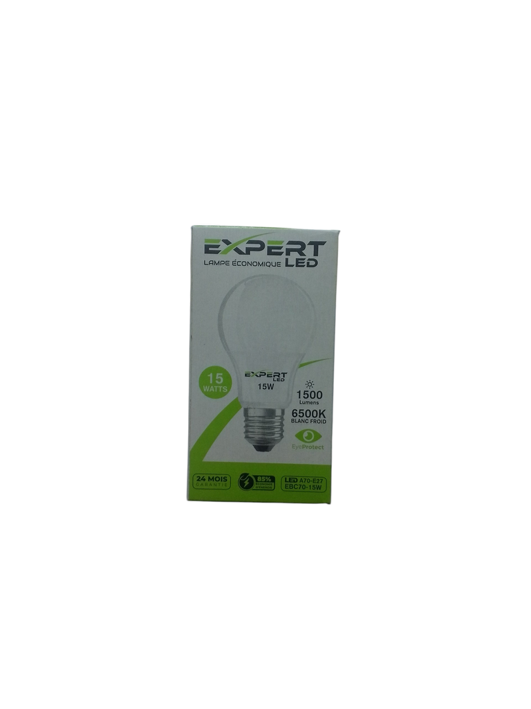 EXPERT lampe LED 22 W